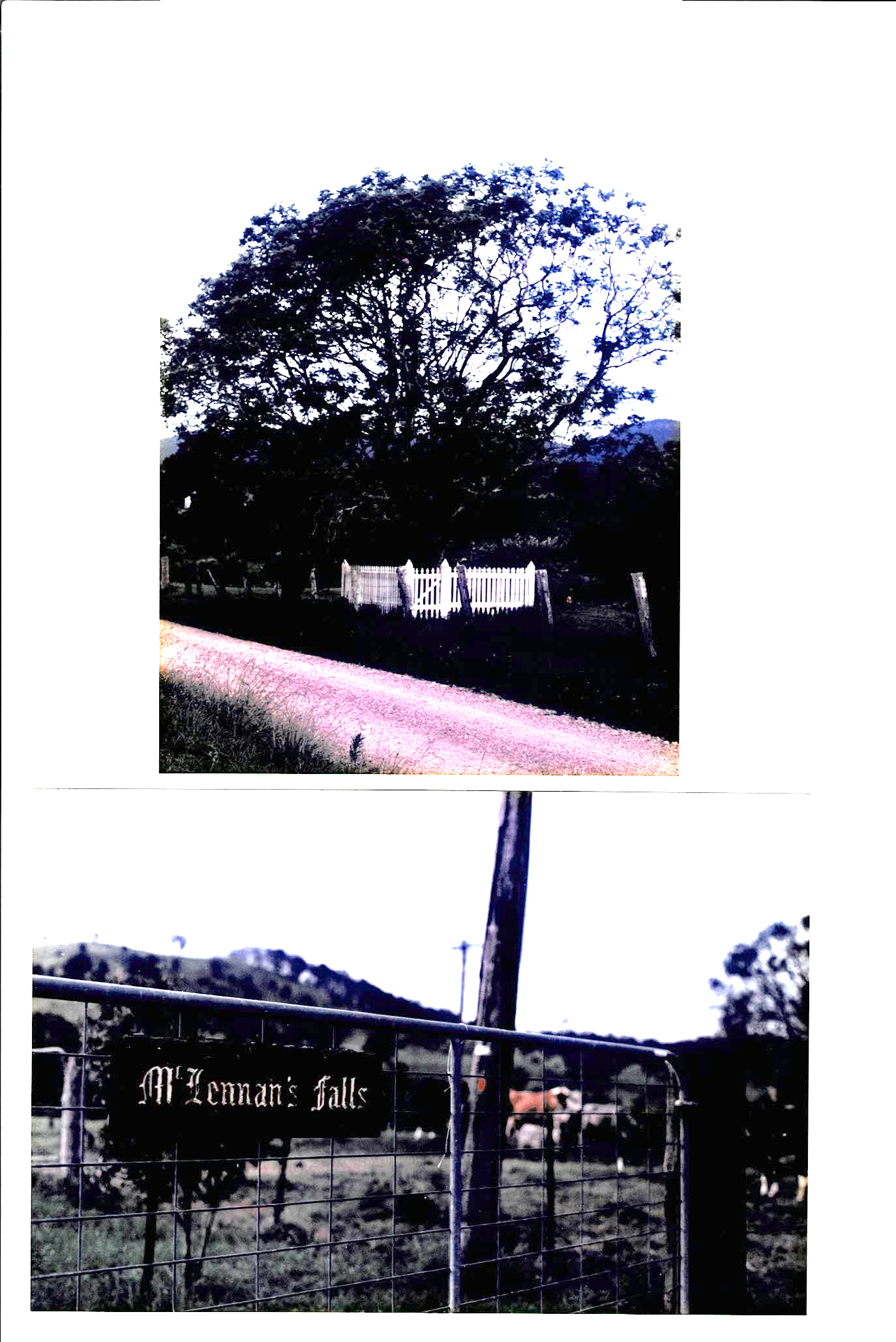 Photo of photos/Mary McLennan - McLennans Falls, Hartys Plain
